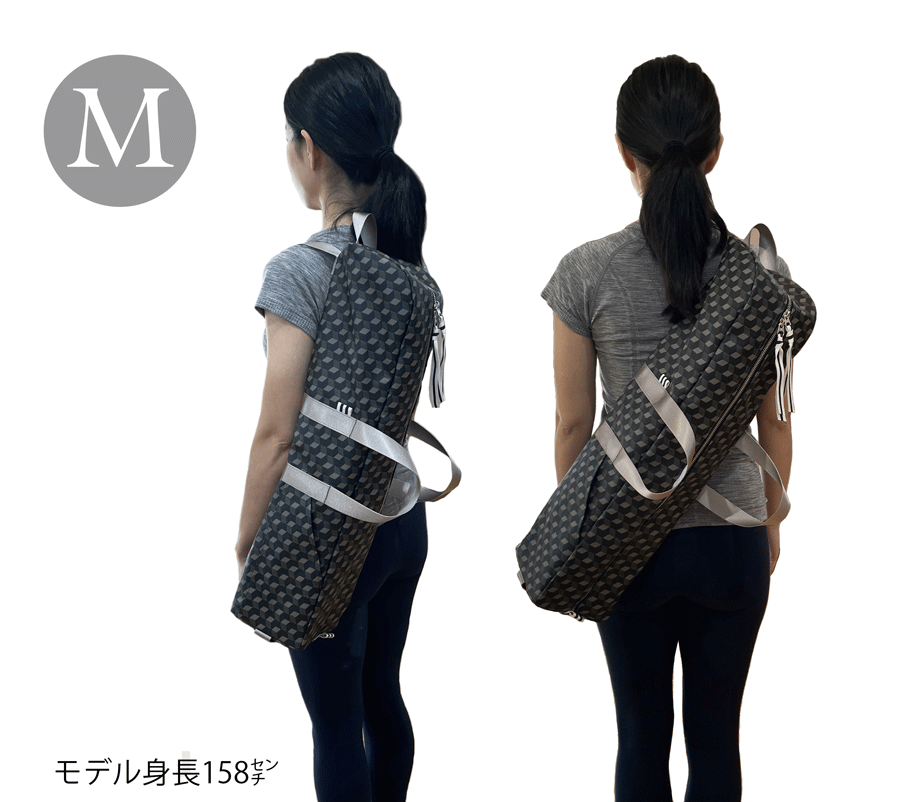 BSVRM13.gif